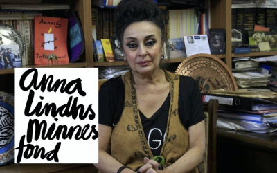 Turkey’s Eren Keskin awarded 2018 Anna Lindh Prize