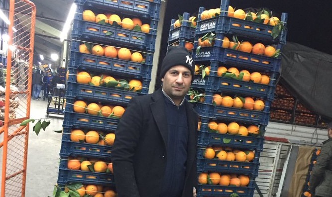 Purge-victim Turkish judge sells oranges to make a living